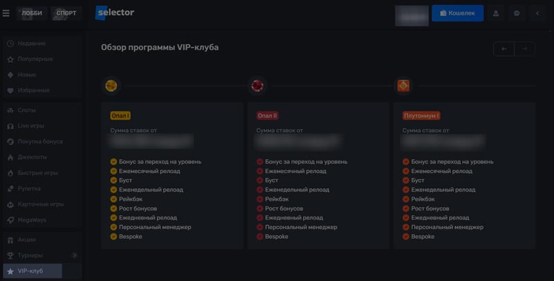 Система лояльности